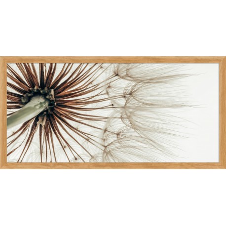 Decoposter 6110DP008325 by Bubola & Naibo