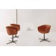 Sedia girevole Derby Segis
