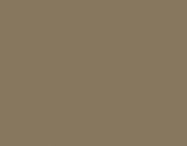  Vetro extra chiaro bronzo opaco 